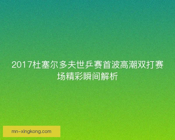 2017杜塞尔多夫世乒赛首波高潮双打赛场精彩瞬间解析 2017杜塞尔多夫世乒赛首波高潮双打赛场精彩瞬间解析