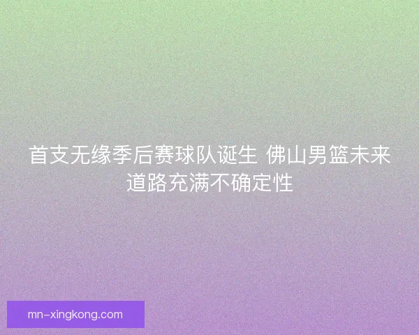 首支无缘季后赛球队诞生 佛山男篮未来道路充满不确定性